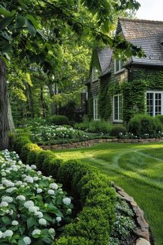 a lush green yard with white flowers and bushes in front of a large brick house