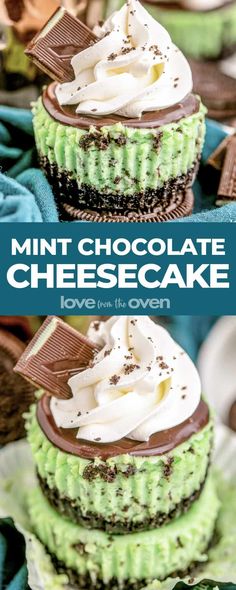 mint chocolate cheesecake cupcakes with whipped cream and chocolate on top