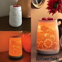 three different types of vases with flowers on them