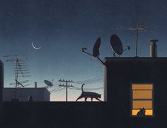 a cat is walking on the roof of a building at night, with an antenna and satellite dishes in the background