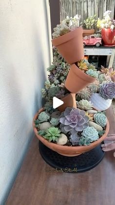 there is a potted plant with succulents in it