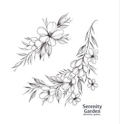 an ink drawing of flowers and leaves on a white background with the words serenity garden