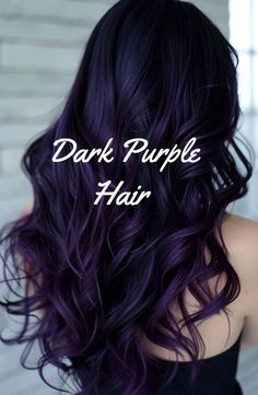 Short Purple Highlights Hair, Hair Color For Black Hair Without Bleach, Dark Hair Purple Tint, Dark Brown Hair With Dark Purple Highlights, Black Violet Hair Color, Eggplant Hair Color Dark, Dark Purple Ombre Hair, Black Hair With Purple Tint, Warm Purple Hair