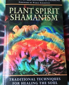 the front cover of a book on plant spirit shamanism, with colorful mushrooms