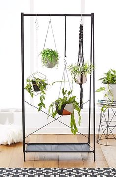 an indoor plant stand with plants hanging from it's sides and two potted plants on the other side