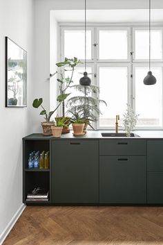 a kitchen with green cabinets and potted plants on the window sill next to it