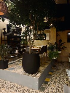 an indoor area with potted plants and tables