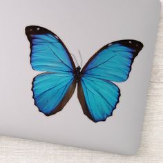 a blue butterfly sitting on top of a white laptop computer screen with its wings spread open