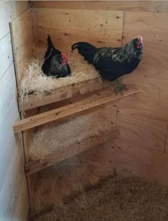 two chickens in a wooden coop with hay