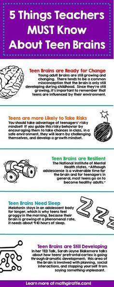 the five things teachers must know about teen brain training infographical poster for kids