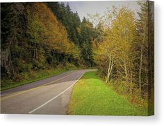 an empty road surrounded by trees and grass