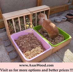 a rabbit in a cage with hay and other items around it on the ground next to a sign that says, visit us for more options and better prices