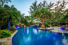 an outdoor swimming pool surrounded by trees and rocks