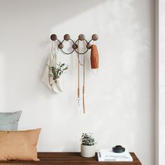 a wall mounted coat rack with three coats hanging from it's sides and two plants on the other side