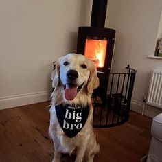 a dog wearing a bandana sits in front of a wood stove with its tongue out