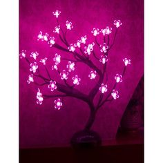 a bonsai tree is lit up in the dark with purple light from its branches