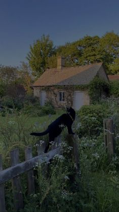 a black dog standing on top of a wooden fence next to a lush green field