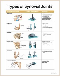 the types of synnal jointts and their corresponding parts are shown in this diagram