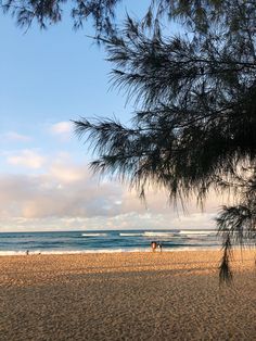 the beach is empty with people walking on it and some trees in front of the water