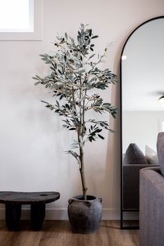 a potted plant sitting next to a mirror in a room with wooden flooring