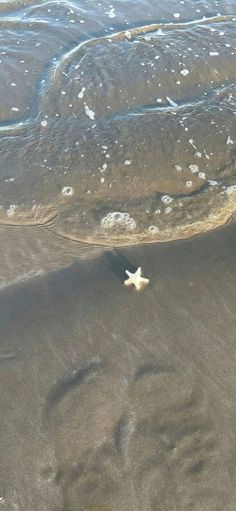 an airplane is flying low over the water and sand at the beach, looking down on it