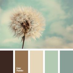 a dandelion is shown in the middle of color swatches with sky and clouds behind it