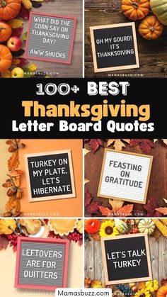 thanksgiving letter board quotes with pumpkins, leaves and other decorations in the bottom right corner