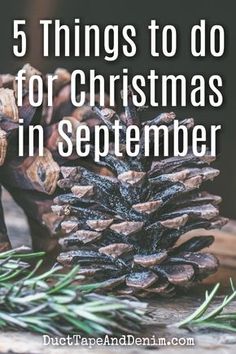 a pine cone with the words 5 things to do for christmas in september