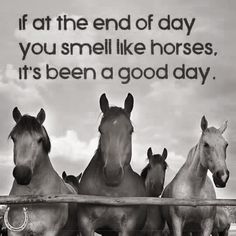 four horses standing behind a wooden fence with a quote on the side that says if at the end of day you smell like horses, it's been a good day