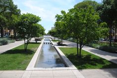 a water feature in the middle of a park with lots of trees and grass on both sides