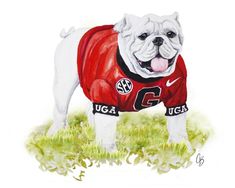 a painting of a bulldog wearing a red shirt with the letter c on it's chest