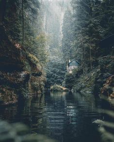 a small cabin in the middle of a forest with water and trees on both sides