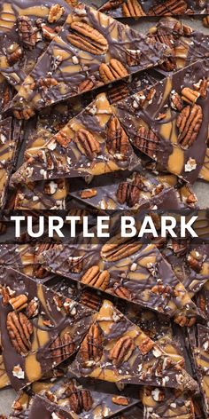 chocolate turtle bark with nuts and pecans on top in front of the words turtle bark