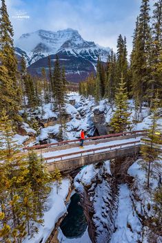 a person walking across a bridge over a river in the woods with snow on the ground