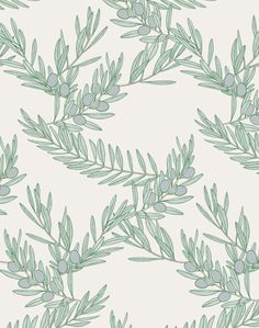 an olive tree branch with green leaves on a white background seamless wallpaper pattern