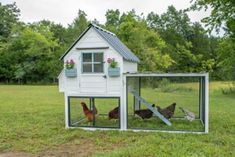 a chicken coop with two chickens in it