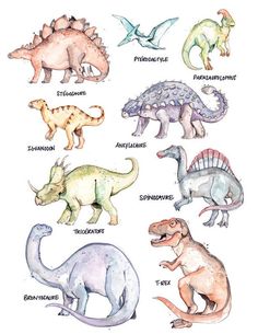 an image of different types of dinosaurs