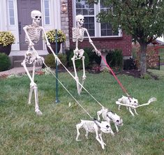 three skeleton dogs pulling two puppies on a leash in front of a brick house