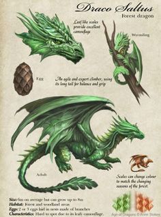 a green dragon with different types of wings