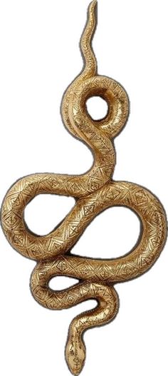 a gold snake is shown on a white background