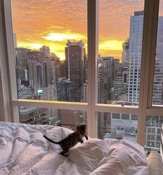 a small kitten sitting on top of a bed in front of a window overlooking the city