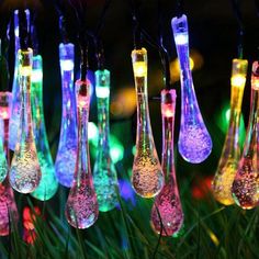 colorful lights are hanging from the grass in front of some green and purple plants with long stems