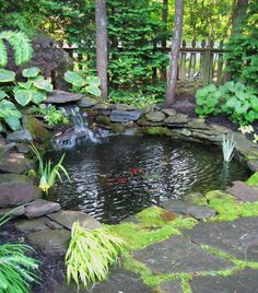 a small pond surrounded by rocks and plants