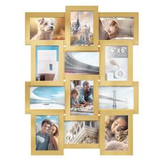 a collage of pictures with people and animals on them, all in gold frames