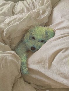 a green teddy bear laying in bed with white sheets