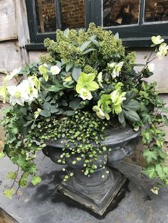 a planter filled with white flowers and greenery