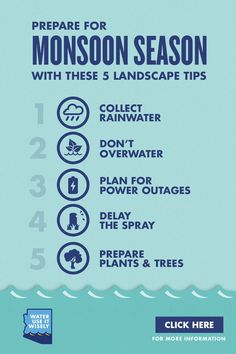 a poster with instructions on how to prepare for the water safety month, including an image of