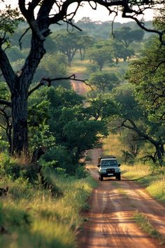 an suv driving down a dirt road in the middle of trees and grass on both sides