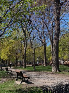 several park benches are lined up along the path