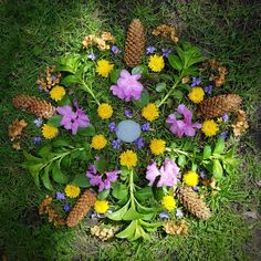 a circular arrangement of wildflowers and pine cones on the ground with green grass